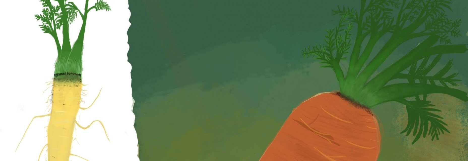 What’s on your plate?