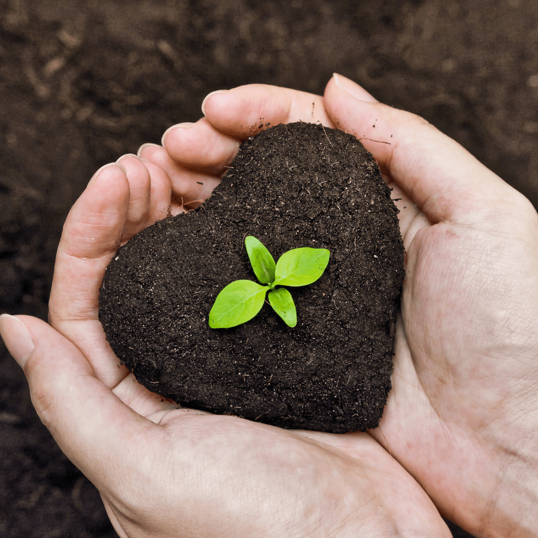 Click here to read our Stories