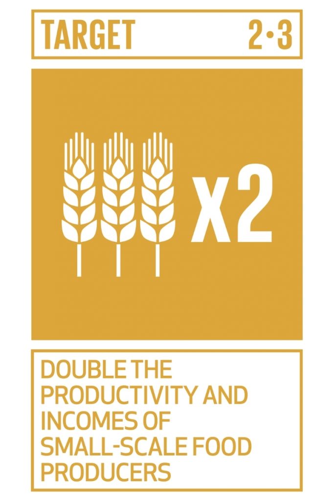 SDG2: Zero Hunger