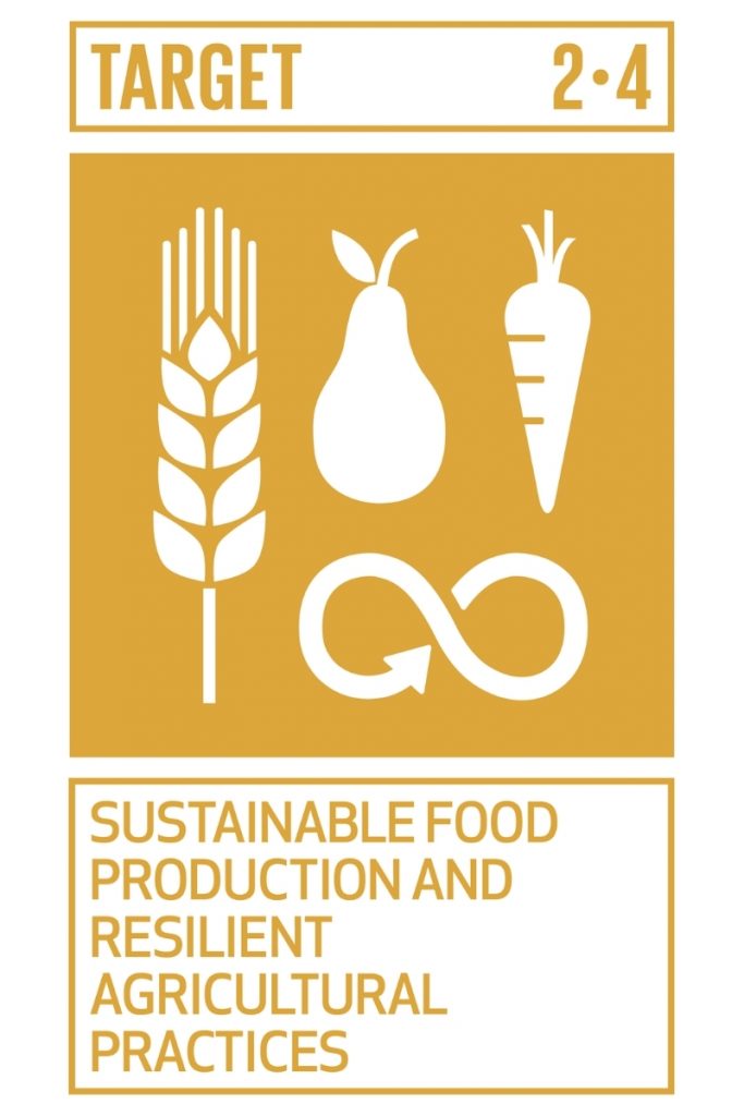 SDG2: Zero Hunger